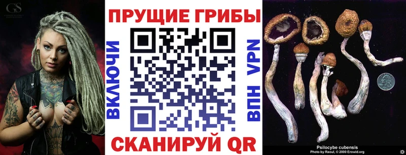закладка  Бобров  Псилоцибиновые грибы GOLDEN TEACHER 